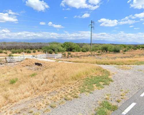 250 HA. Campo en Catamarca con Olivos