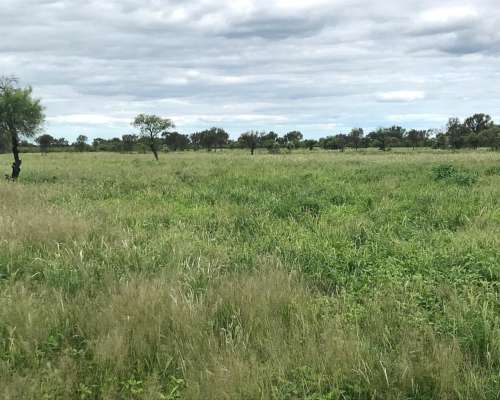 Campo Ganadero - Listo para Escriturar