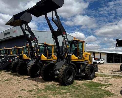 Pala Cargadora XCF - DY-25