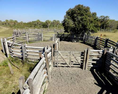 3200 Hectáreas en Departamento Pilcomayo Formosa