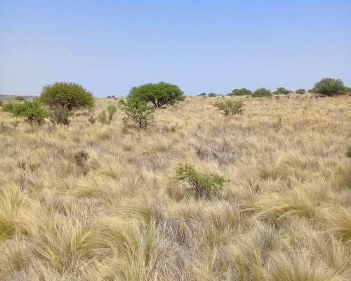Campo Ganadero Mixto Cordoba