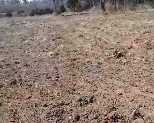 22 Ha Arboladas en Andino