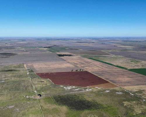 Pcia. de Santa FE - Aaron Castellanos 1125 Has