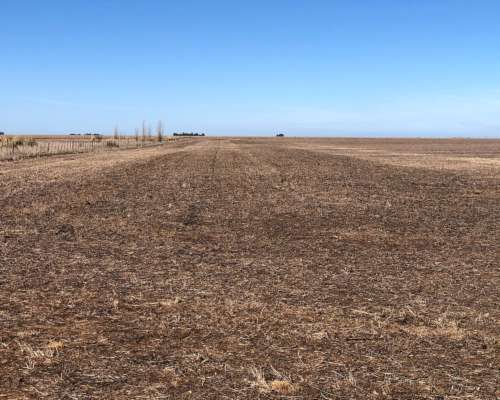 118 Has. Tres Arroyos - Agricola