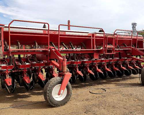 14 a 52, Fertilización Simple, Gringa IV