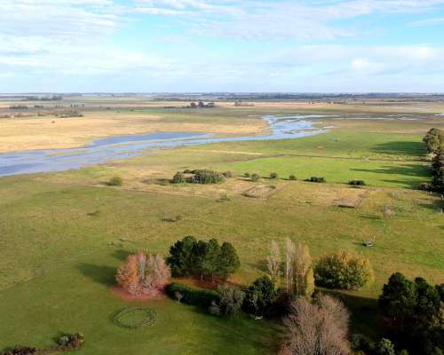 48 Has en Punta Indio, BS. AS. - Agrícola/haras - Venta