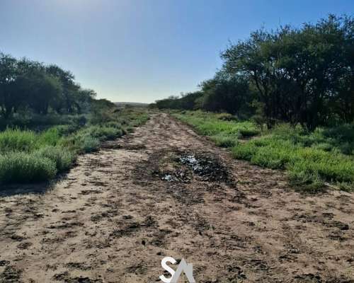 Vende: Campo Mixto de 681 Hectáreas en Naicó, la Pampa