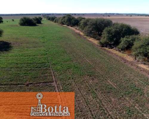 750has en Venta en Santa Rosa la Pampa