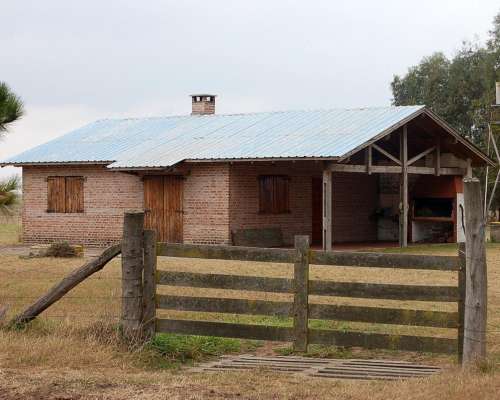 Campo en Venta 800 HA. Mixto. Carlos Casares. Oportunidad.