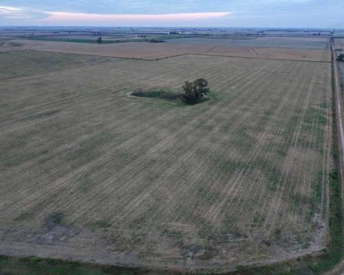 40 HA. Suelo Clase 1 Sobre Ruta. San Genaro (santa FE)