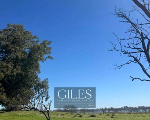 Campo Mixto 80 Hectáreas C/mejoras