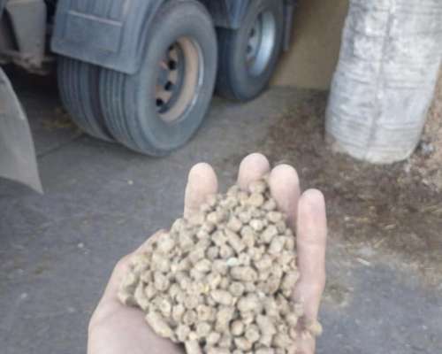 Pellet de Cáscara de Soja