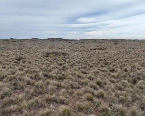 Pcia. de la Pampa - Santa Isabel 20000 Ha
