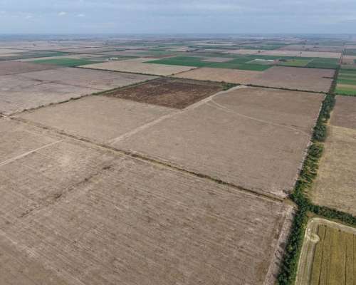 69 HA. Agricola. Villa Trinidad (santa FE)