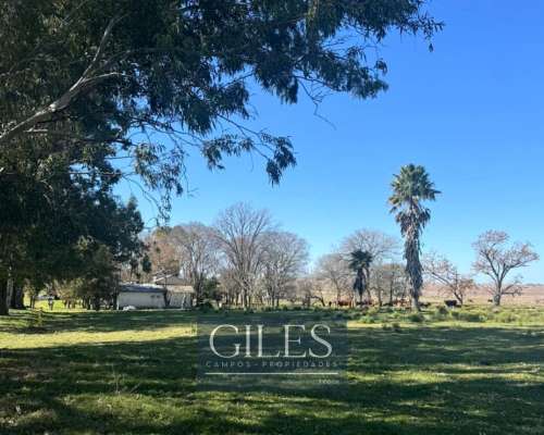 Campo Mixto 80 Hectáreas C/mejoras