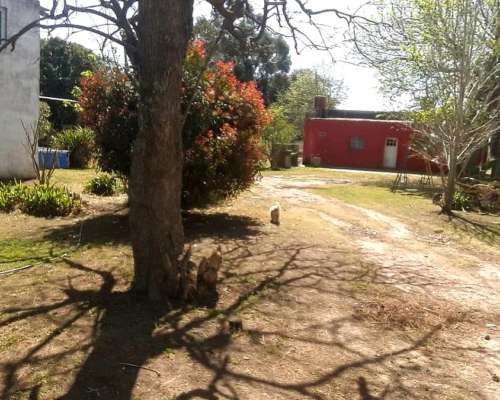 Hermoso Campo de 5,6ha en la Violeta (partido de Pergamino)