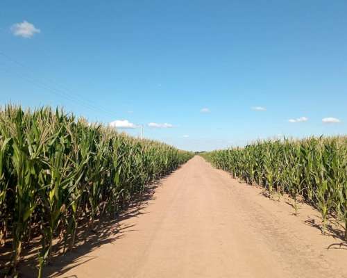 69 Ha en Venta en Monte Cristo