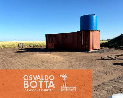 Campo Mixto en Venta, 1654has Carlos Tejedor