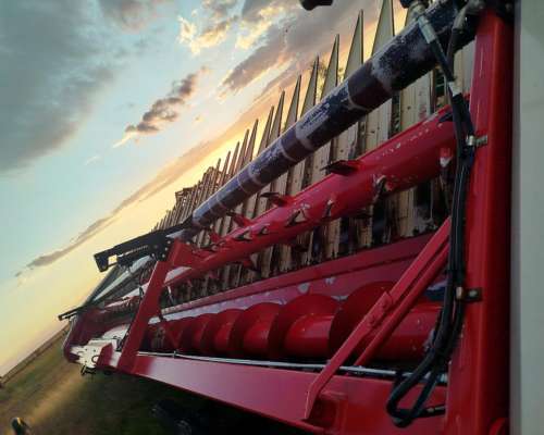 Vendo Girasolero Maizco Grandflow