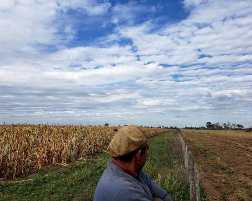 Estancia Ganadera a Puerta Cerrada