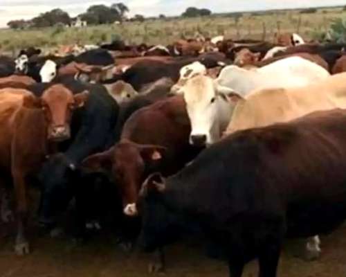 Campo C/acuifero, Pegado a la Ciudad Termas de Rio Hondo