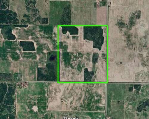 Campo Agrícola 168 Has - a 8 km de San Bernardo Chaco