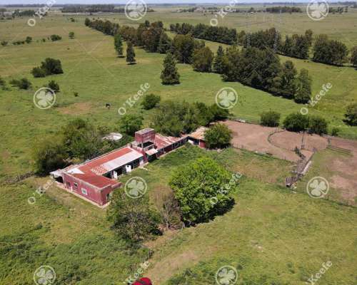 Campo en Venta de 256 Has Sobre Ruta 2 - Ideal Desarrollo