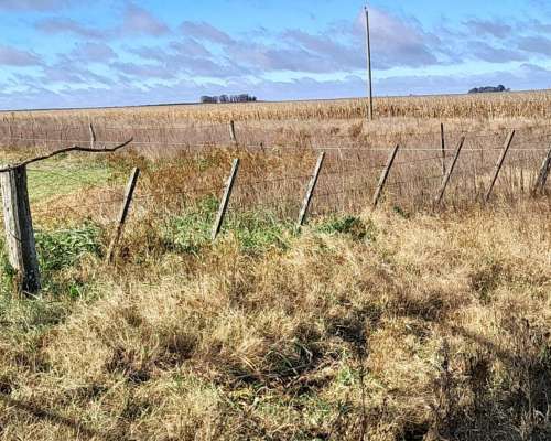 Vdo 125 Has Agrícolas a 10 km de Ruta Casa Molino 500.000