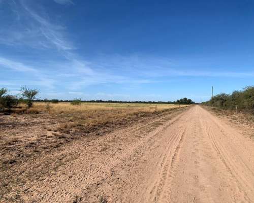 Venta de Campo Ganadero, Providencia, Sgo. del Estero, Arg.