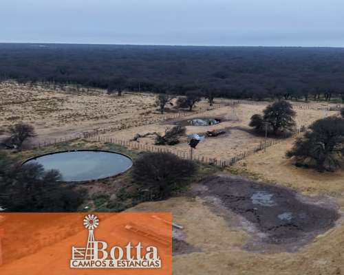 Campo Ganadero en Venta — 3.200 Has Rancul, la Pampa