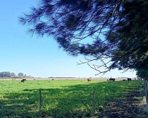 5 Has Agrícolas Sobre Ruta, Hermoso Entorno, Baradero