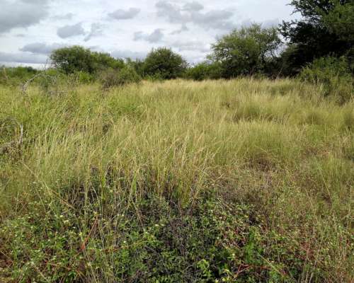 Campo en Loreto Posibilidad de Loteo