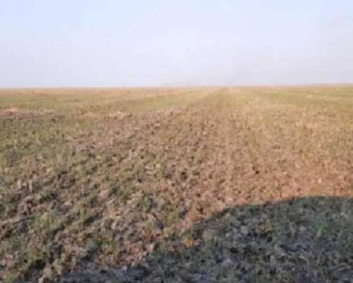 Campo Mixto de 3000 Hectáreas