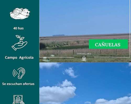 Campo en Venta Cañuelas