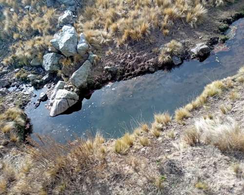 Vendo Campo en la Carolina,san Luis