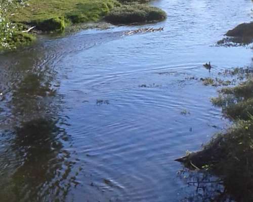 Vendo Campo Ganadero en San Luis