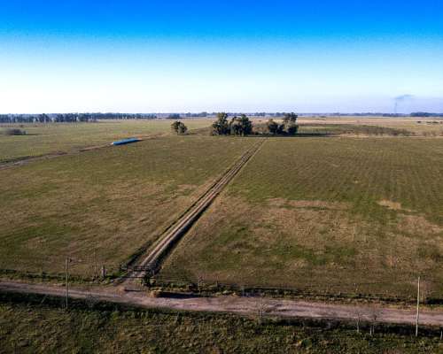 Campo en Venta en Marcos PAZ 48ha