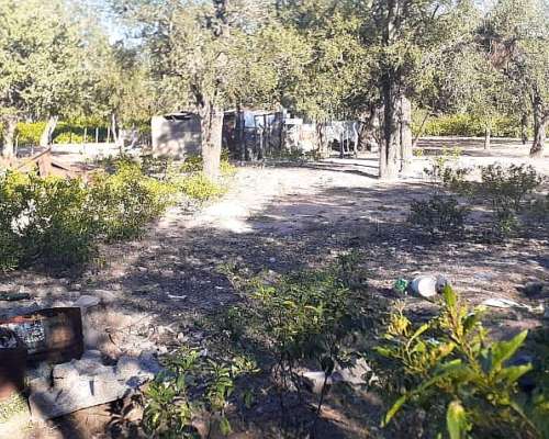 Venta de Campo en Cachi Yaco con Galpones