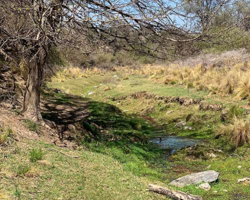 3200 Has. Aptitud Ganadero a Desarrollar en Rumiaco