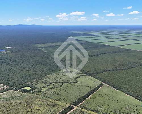 En Venta 6600 Hectáreas Mixtas en la Estrella - Salta