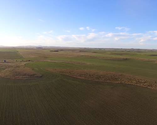 Campo Mixto 680 Has – Coronel Dorrego – Buenos Aires