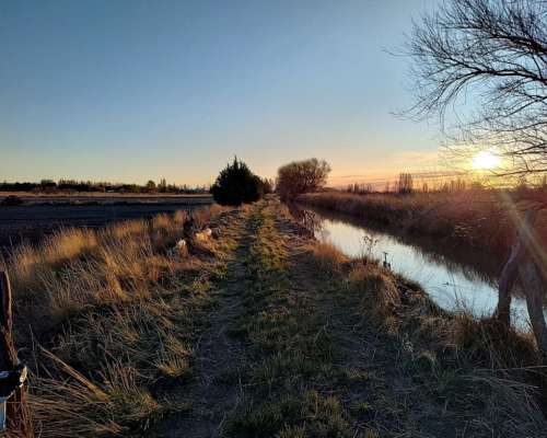 Chacra Zona Gaiman Chubut 36 Ha con Casa