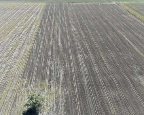 30 HA. Suelo Clase 1 - IP 90%. Departamento Constitucion.