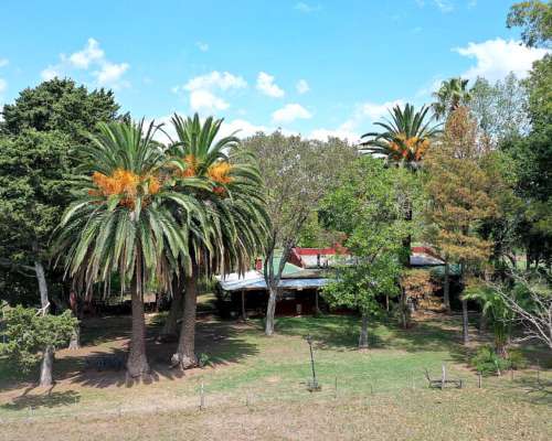 67,50 Has. Campo Agrícola con Casco en Baradero