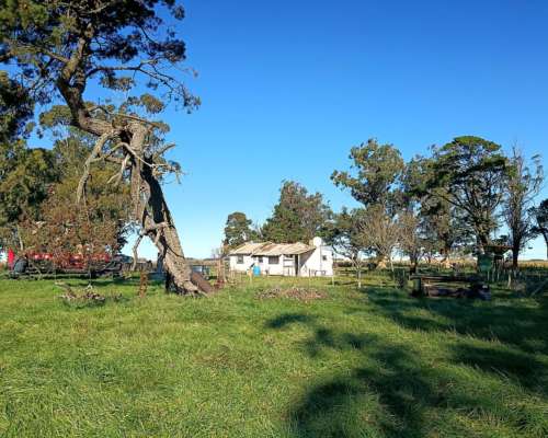 207 Ha Agricola Ganadero-vivorata