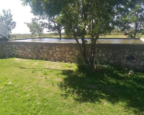 Alquiler o Venta Ganadero Potrerillo (san Luis) 180 Has