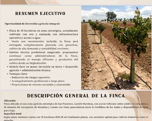 Finca de Pistachos en Lavalle Mendoza
