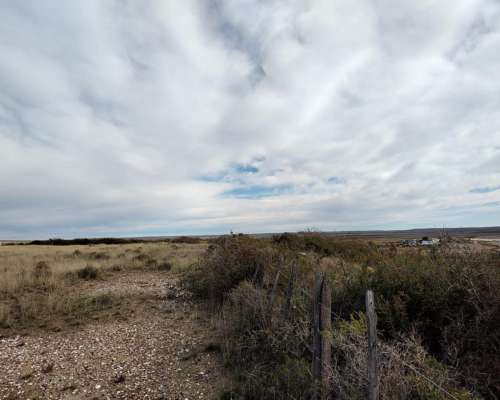 Campo en Peninsula Valdes Chubut 10.000 Ha Costa al MAR