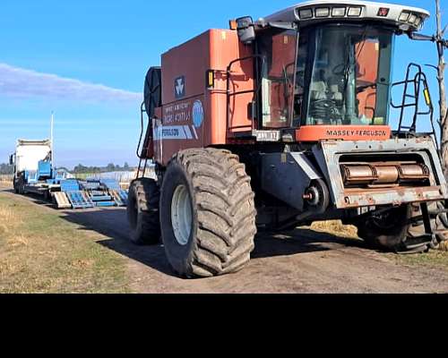 Massey F. 9790 Modelo 2008