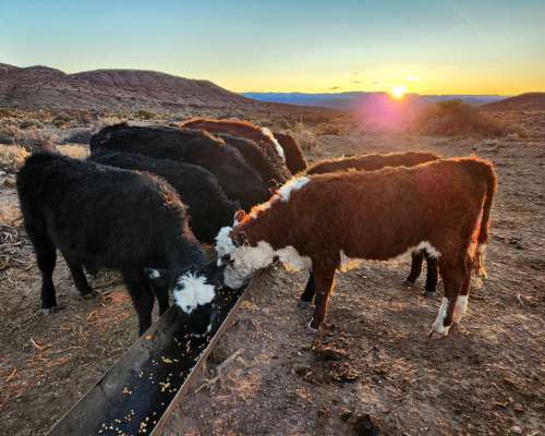20.500 Ha Excepcional Estancia en Chubut